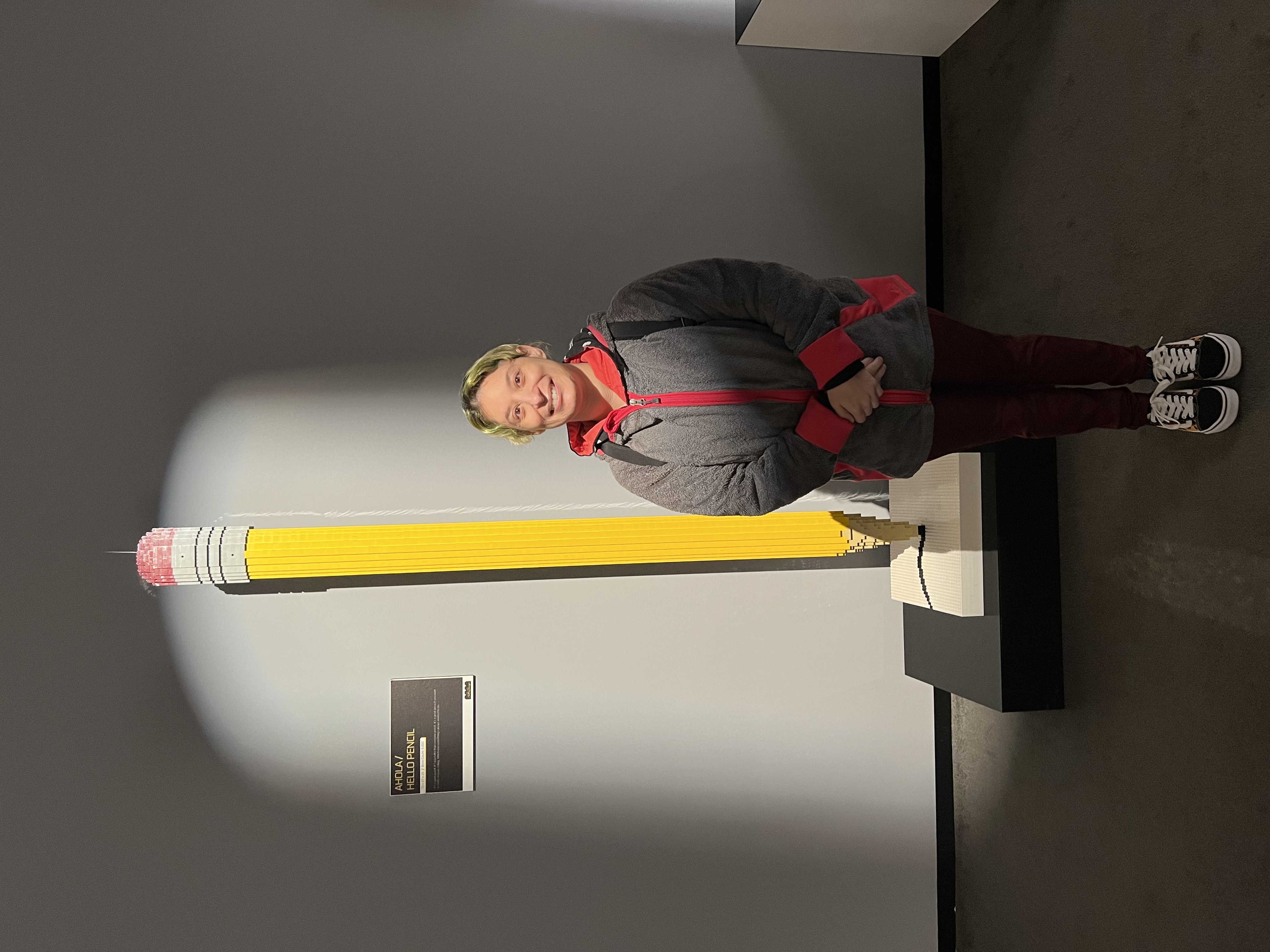 ./2023/07 - Art of the Brick/IMG_9519.JPG